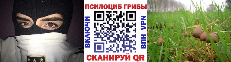 купить   Мантурово  кракен как зайти  Псилоцибиновые грибы ЛСД 